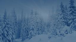 Winter Forest  PowerPoint Photoshop image 2