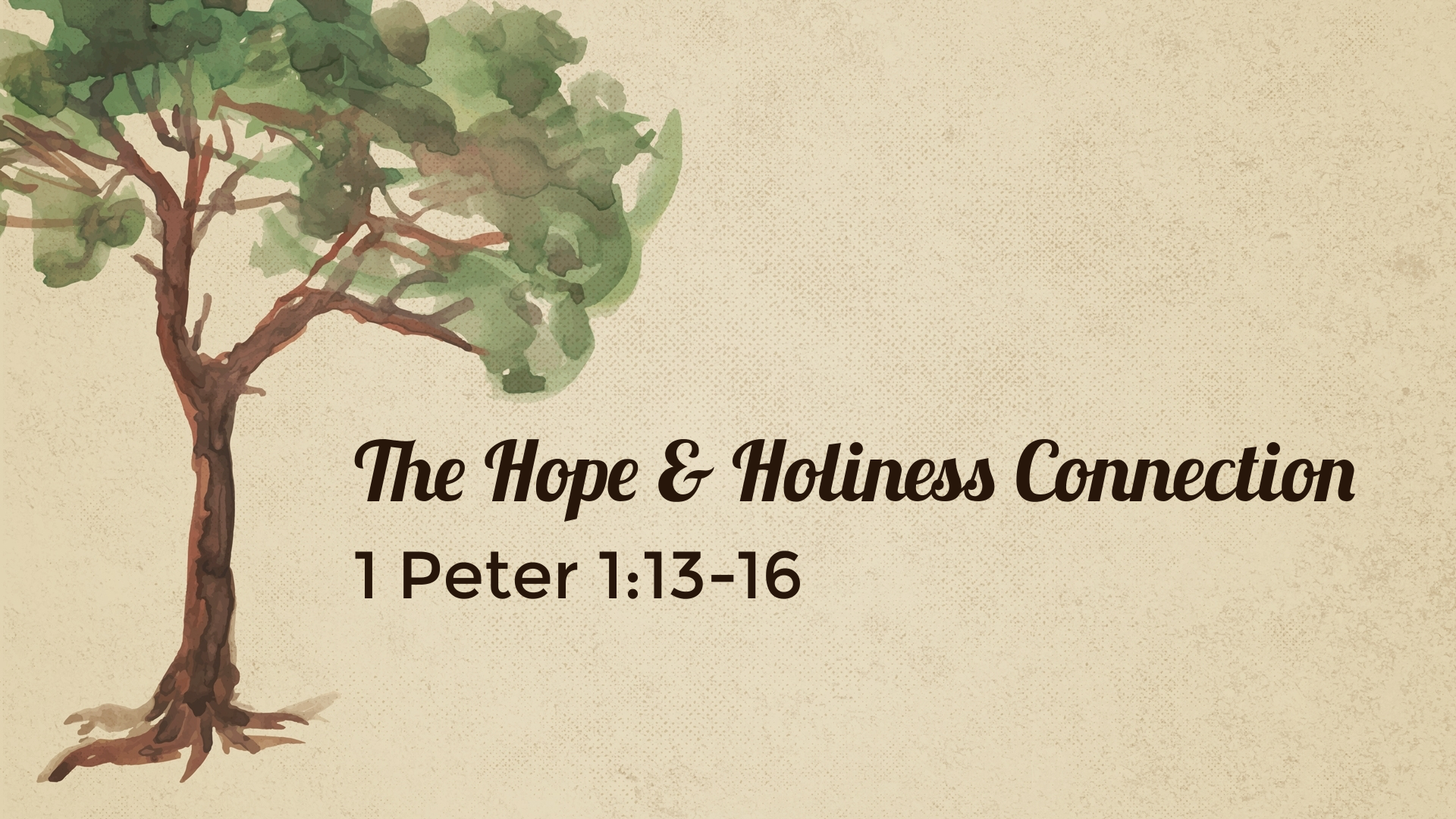 The Hope & Holiness Connection Branson Bible Church