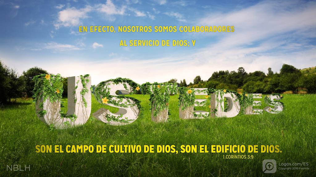 1 Corintios 3:9: En efecto, nosotros somos colaboradores al servicio de Dios; y ustedes son el campo de cultivo de Dios, son el edificio de Dios.