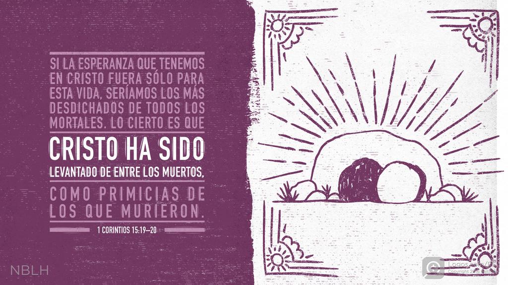 1 Corintios 15:19–20: Si la esperanza que tenemos en Cristo fuera sólo para esta vida, seríamos los más desdichados de todos los mortales. Lo cierto es que Cristo ha sido levantado de entre los muertos, como primicias de los que murieron.