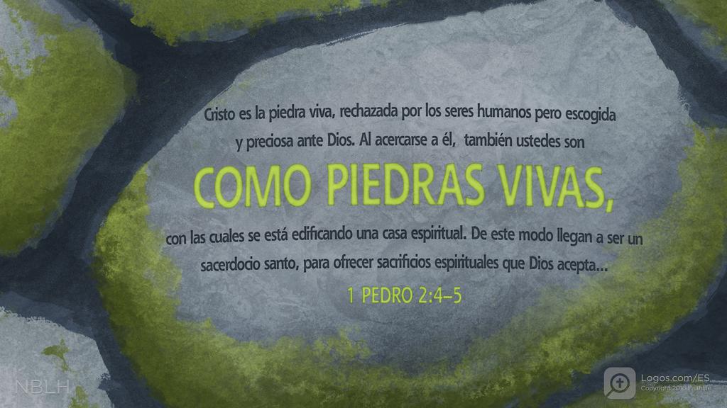 1 Pedro 2:4–5: Cristo es la piedra viva, rechazada por los seres humanos pero escogida y preciosa ante Dios. Al acercarse a él, también ustedes son como piedras vivas, con las cuales se está edificando una casa espiritual. De este modo llegan a ser un sacerdocio santo, para ofrecer sacrificios espirituales que Dios acepta...