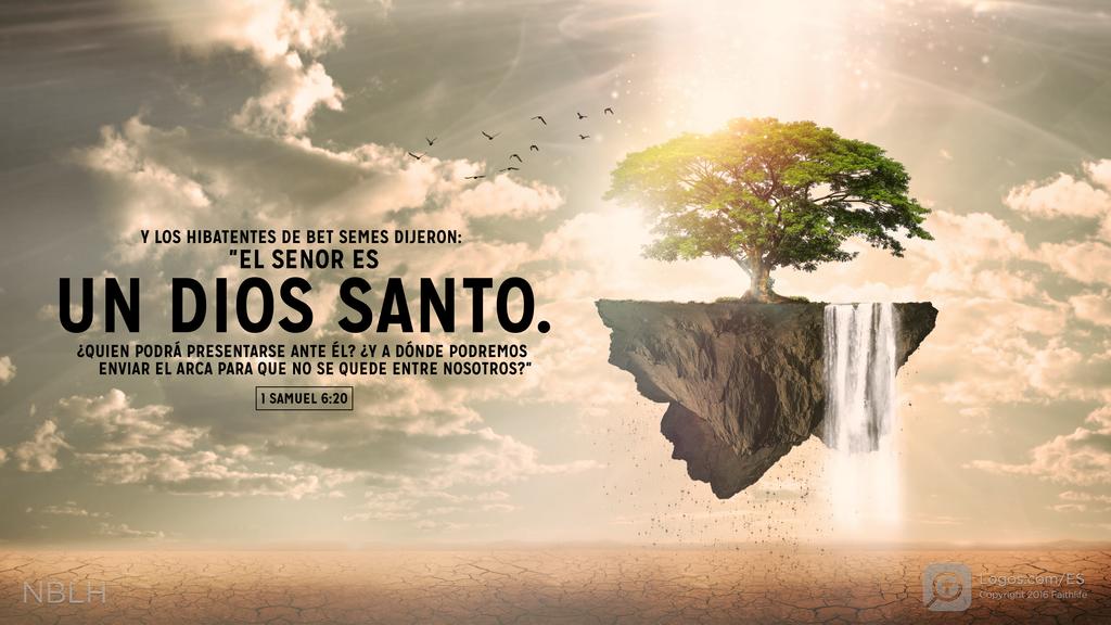 1º Samuel 6:20: y los habitantes de Bet Semes dijeron: «El SEÑOR es un Dios santo. ¿Quién podrá presentarse ante él? ¿Y a dónde podremos enviar el arca para que no se quede entre nosotros?»