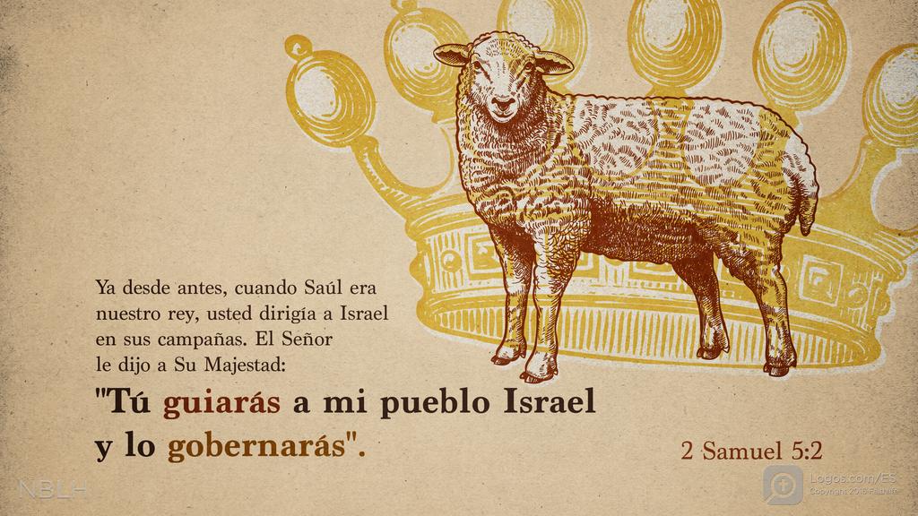 2º Samuel 5:2: Ya desde antes, cuando Saúl era nuestro rey, usted dirigía a Israel en sus campañas. El SEÑOR le dijo a Su Majestad: “Tú guiarás a mi pueblo Israel y lo gobernarás.” »
