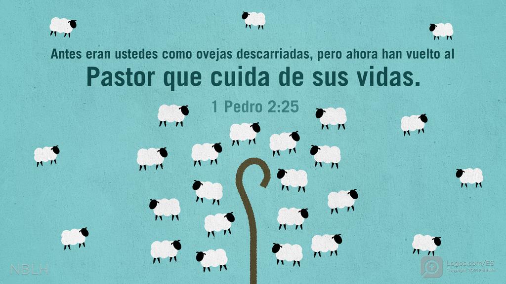 1 Pedro 2:25: Antes eran ustedes como ovejas descarriadas, pero ahora han vuelto al Pastor que cuida de sus vidas.