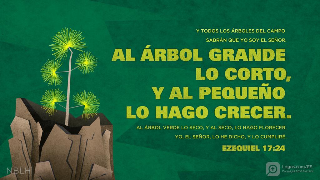 Ezequiel 17:24: Y todos los árboles del campo sabrán que yo soy el SEÑOR. Al árbol grande lo corto, y al pequeño lo hago crecer. Al árbol verde lo seco, y al seco, lo hago florecer. Yo, el SEÑOR, lo he dicho, y lo cumpliré.” »