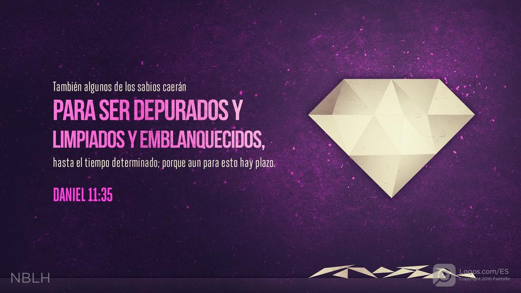 Daniel 11:35: Algunos de los sabios caerán, pero esa prueba los purificará y perfeccionará, para que cuando llegue la hora final no tengan mancha alguna. Todavía falta mucho para que llegue el momento preciso.