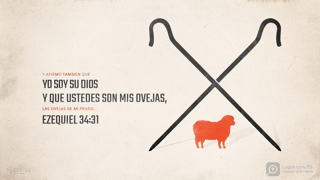 Ezequiel 34:31: y afirmo también que yo soy su Dios y que ustedes son mis ovejas, las ovejas de mi prado...