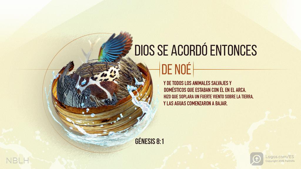 Génesis 8:1: DIOS SE ACORDÓ ENTONCES DE NOÉ Y DE TODOS LOS ANIMALES SALVAJES Y DOMÉSTICOS QUE ESTABAN CON ÉL EN EL ARCA. HIZO QUE SOPLARA UN FUERTE VIENTO SOBRE LA TIERRA, Y LAS AGUAS COMENZARON A BAJAR.