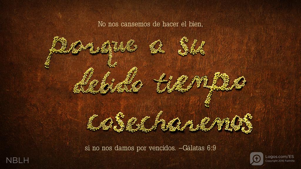 Gálatas 6:9: No nos cansemos de hacer el bien, porque a su debido tiempo cosecharemos si no nos damos por vencidos.