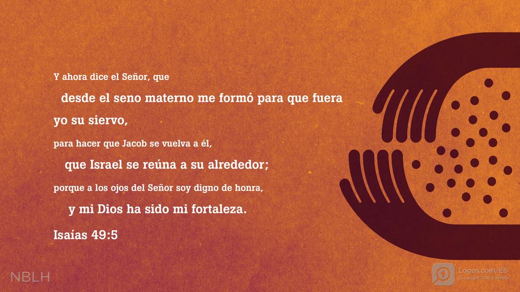 Isaías 49:5: Y ahora dice el SEÑOR, que desde el seno materno me formó para que fuera yo su siervo, para hacer que Jacob se vuelva a él, que Israel se reúna a su alrededor; porque a los ojos del SEÑOR soy digno de honra, y mi Dios ha sido mi fortaleza: