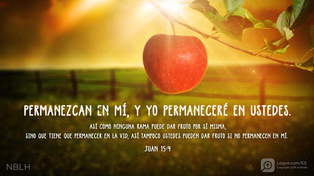 Juan 15:4: Permanezcan en mí, y yo permaneceré en ustedes. Así como ninguna rama puede dar fruto por sí misma, sino que tiene que permanecer en la vid, así tampoco ustedes pueden dar fruto si no permanecen en mí.