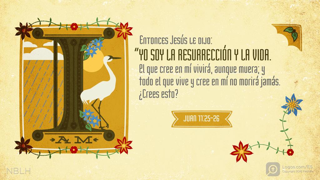 Juan 11:25–26: Entonces Jesús le dijo: —Yo soy la resurrección y la vida. El que cree en mí vivirá, aunque muera; y todo el que vive y cree en mí no morirá jamás. ¿Crees esto?