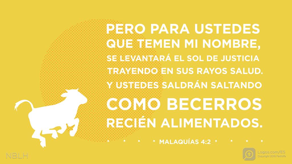 Malaquías 4:2: Pero para ustedes que temen mi nombre, se levantará el sol de justicia trayendo en sus rayos salud. Y ustedes saldrán saltando como becerros recién alimentados.