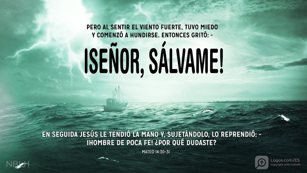 Mateo 14:30–31: Pero al sentir el viento fuerte, tuvo miedo y comenzó a hundirse. Entonces gritó: —¡Señor, sálvame! En seguida Jesús le tendió la mano y, sujetándolo, lo reprendió: —¡Hombre de poca fe! ¿Por qué dudaste?