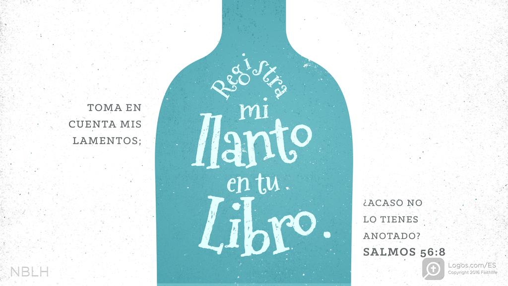Salmo 56:8: Toma en cuenta mis lamentos; registra mi llanto en tu libro. ¿Acaso no lo tienes anotado?