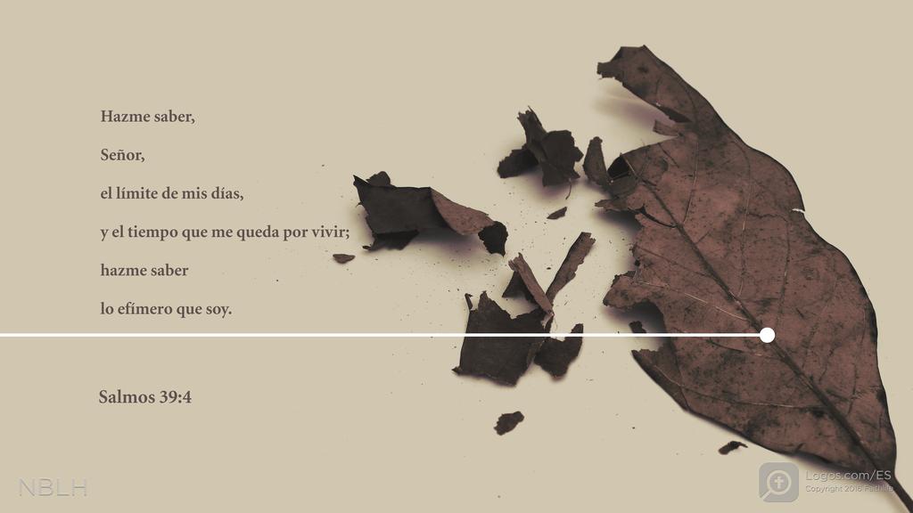 Salmo 39:4: Hazme saber, Señor, el límite de mis días, y el tiempo que me queda por vivir; hazme saber lo efímero que soy.