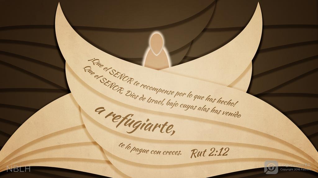 Rut 2:12: ¡Que el SEÑOR te recompense por lo que has hecho! Que el SEÑOR, Dios de Israel, bajo cuyas alas has venido a refugiarte, te lo pague con creces.