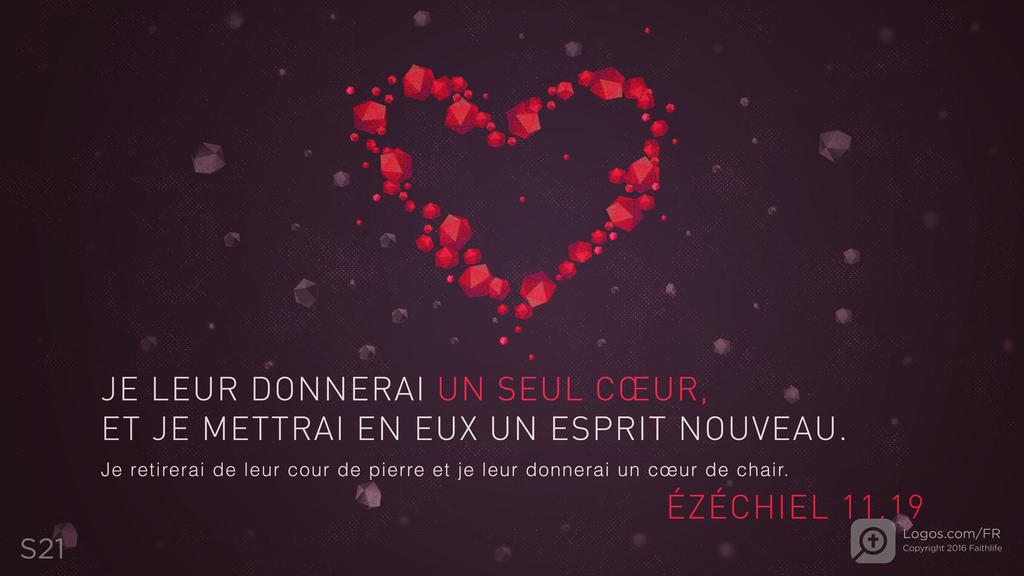 Ézéchiel 11.19: JE LEUR DONNERAI UN SEUL CŒUR, ET JE METTRAI EN EUX UN ESPRIT NOUVEAU. Je retirerai de leur cour de pierre et je leur donnerai un cœur de chair.