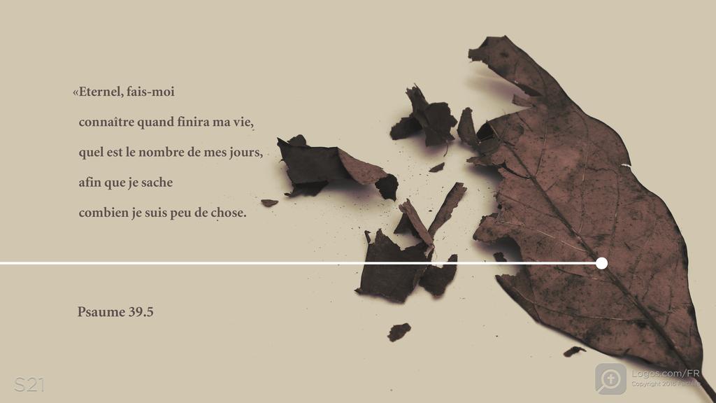 Psaumes 39.4: «Eternel, fais-moi connaître quand finira ma vie, quel est le nombre de mes jours, afin que je sache combien je suis peu de chose.