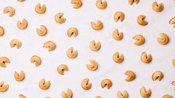 Fortune Cookies  image 4