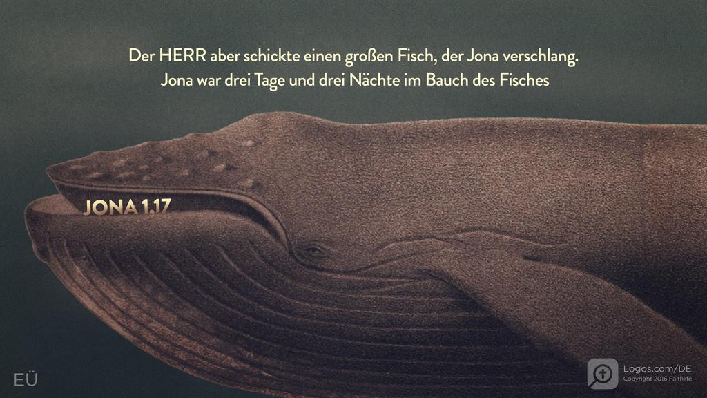 Jona 1,17: Der HERR aber schickte einen großen Fisch, der Jona verschlang. Jona war drei Tage und drei Nächte im Bauch des Fisches