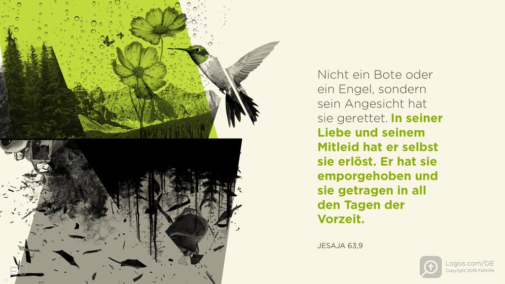 Jesaja 63,9: Nicht ein Bote oder ein Engel, sondern sein Angesicht hat sie gerettet. In seiner Liebe und seinem Mitleid hat er selbst sie erlöst. Er hat sie emporgehoben und sie getragen in all den Tagen der Vorzeit.