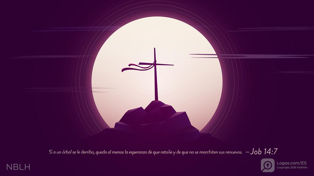 Job 14:7: Si a un árbol se le derriba, queda al menos la esperanza de que retoñe y de que no se marchiten sus renuevos.