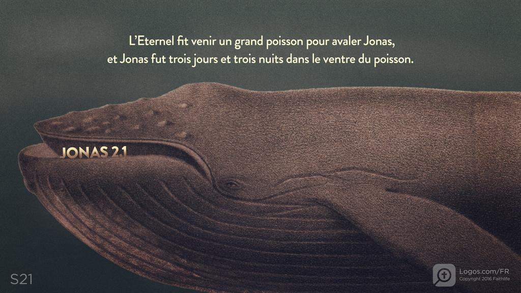 Jonas 1.17: L’Eternel fit venir un grand poisson pour avaler Jonas, et Jonas fut trois jours et trois nuits dans le ventre du poisson.
