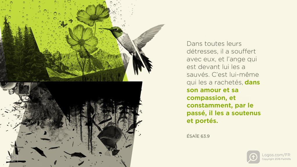 Ésaïe 63.9: Dans toutes leurs détresses, il a souffert avec eux, et l’ange qui est devant lui les a sauvés. C’est lui-même qui les a rachetés, dans son amour et sa compassion, et constamment, par le passé, il les a soutenus et portés.