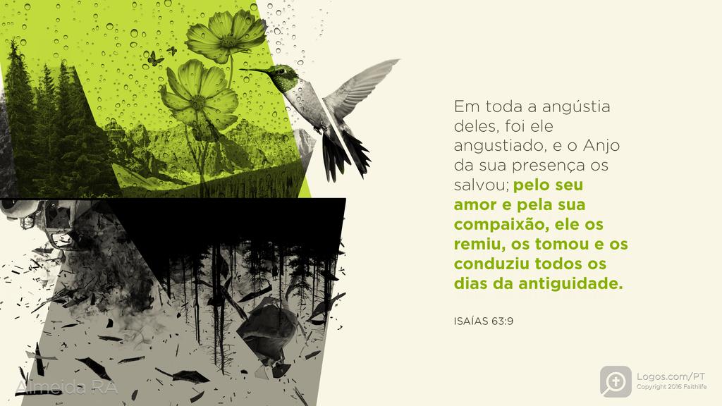 Isaías 63.9: Em toda a angústia deles, foi ele angustiado, e o Anjo da sua presença os salvou; pelo seu amor e pela sua compaixão, ele os remiu, os tomou e os conduziu todos os dias da antiguidade.