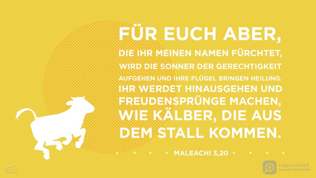 Maleachi 4,2: FÜR EUCH ABER, DIE IHR MEINEN NAMEN FÜRCHTET, WIRD DIE SONNER DER GERECHTIGKEIT AUFGEHEN UND IHRE FLÜGEL BRINGEN HEILUNG. IHR WERDET HINAUSGEHEN UND FREUDENSPRÜNGE MACHEN, WIE KÄLBER, DIE AUS DEM STALL KOMMEN.