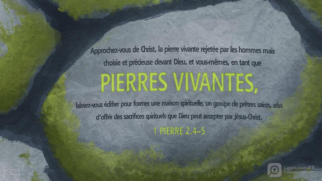 1 Pierre 2.4–5: Approchez-vous de Christ, la pierre vivante rejetée par les hommes mais choisie et précieuse devant Dieu, et vous-mêmes, en tant que PIERRES VIVANTES, laissez-vous édifier pour former une maison spirituelle, un groupe de prêtres saints, afin d’offrir des sacrifices spirituels que Dieu peut accepter par Jésus-Christ.