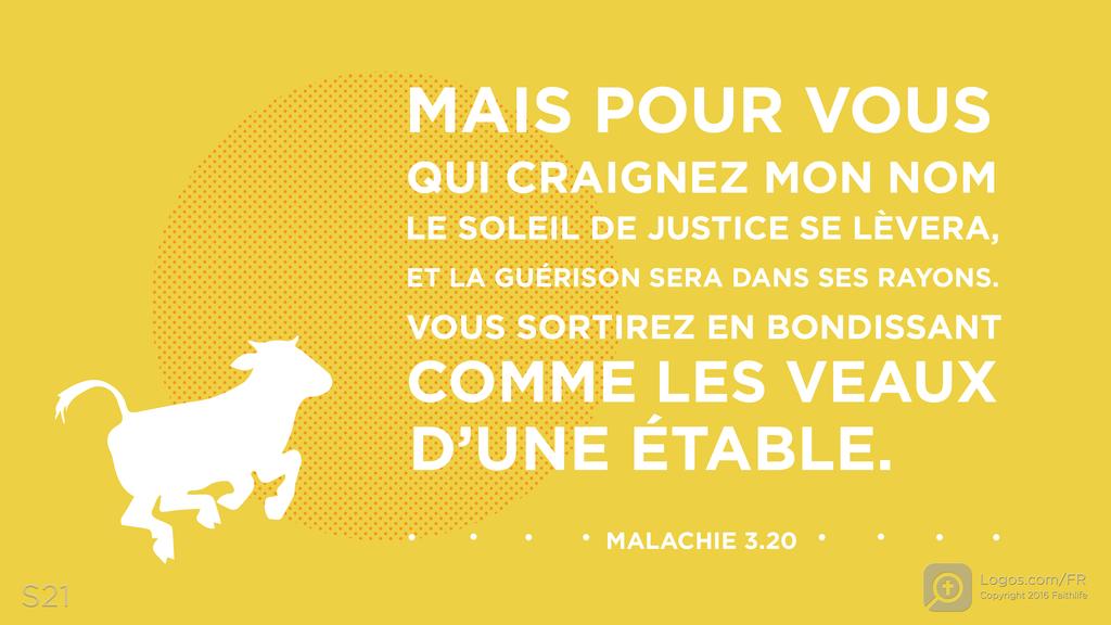 Malachie 4.2: MAIS POUR VOUS QUI CRAIGNEZ MON NOM LE SOLEIL DE JUSTICE SE LÈVERA, ET LA GUÉRISON SERA DANS SES RAYONS. VOUS SORTIREZ EN BONDISSANT COMME LES VEAUX D’UNE ÉTABLE.