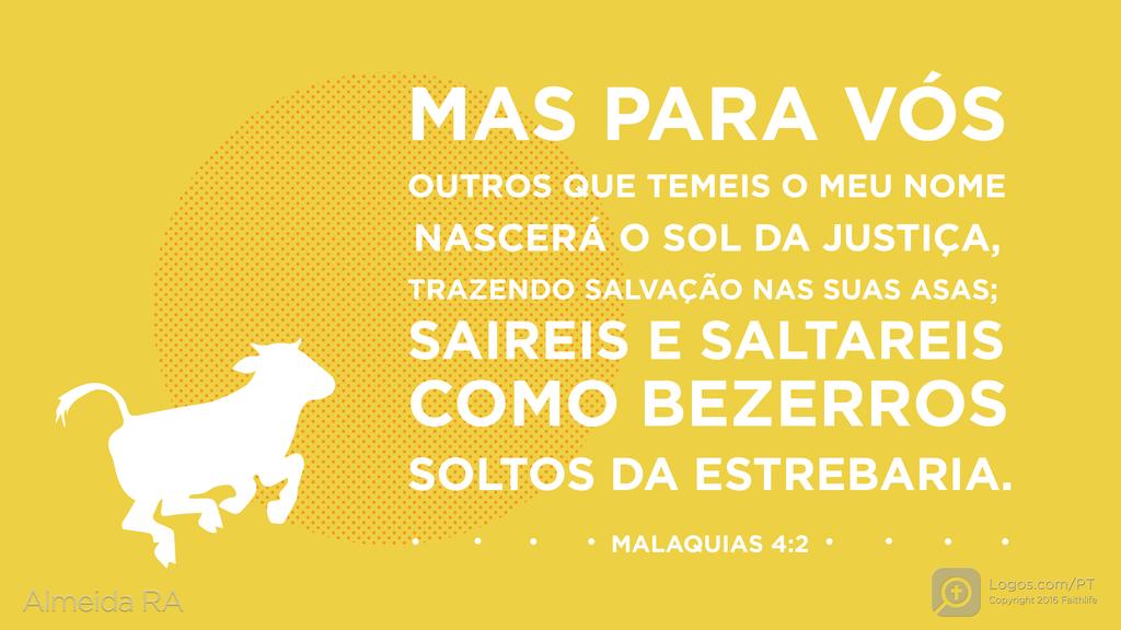 Malaquias 4.2: MAS PARA VÓS OUTROS QUE TEMEIS O MEU NOME NASCERÁ O SOL DA JUSTIÇA, TRAZENDO SALVAÇÃO NAS SUAS ASAS; SAIREIS E SALTAREIS COMO BEZERROS SOLTOS DA ESTREBARIA.