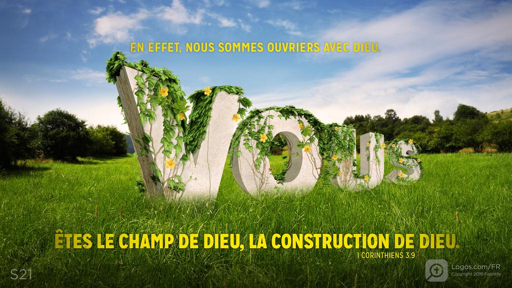 1 Corinthiens 3.9: EN EFFET, NOUS SOMMES OUVRIERS AVEC DIEU. VOUS ÊTES LE CHAMP DE DIEU, LA CONSTRUCTION DE DIEU.