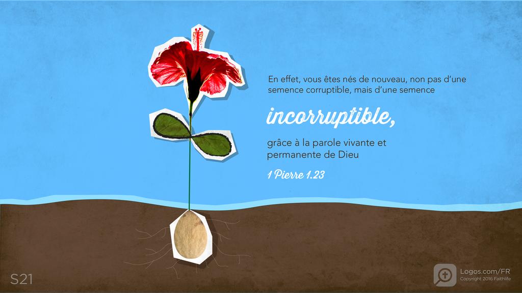 1 Pierre 1.23: En effet, vous êtes nés de nouveau, non pas d’une semence corruptible, mais d’une semence incorruptible, grâce à la parole vivante et permanente de Dieu