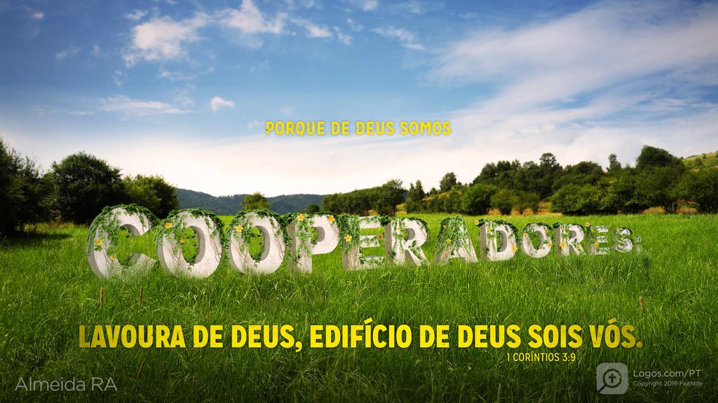 1Coríntios 3.9: PORQUE DE DEUS SOMOS COOPERADORES; LAVOURA DE DEUS, EDIFÍCIO DE DEUS SOIS VÓS.