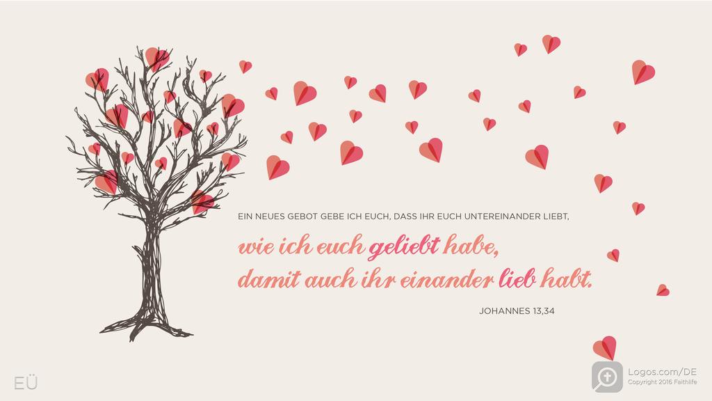 Johannes 13,34: EIN NEUES GEBOT GEBE ICH EUCH, DASS IHR EUCH UNTEREINANDER LIEBT, wie ich euch geliebt habe, damit auch ihr einander lieb habt.