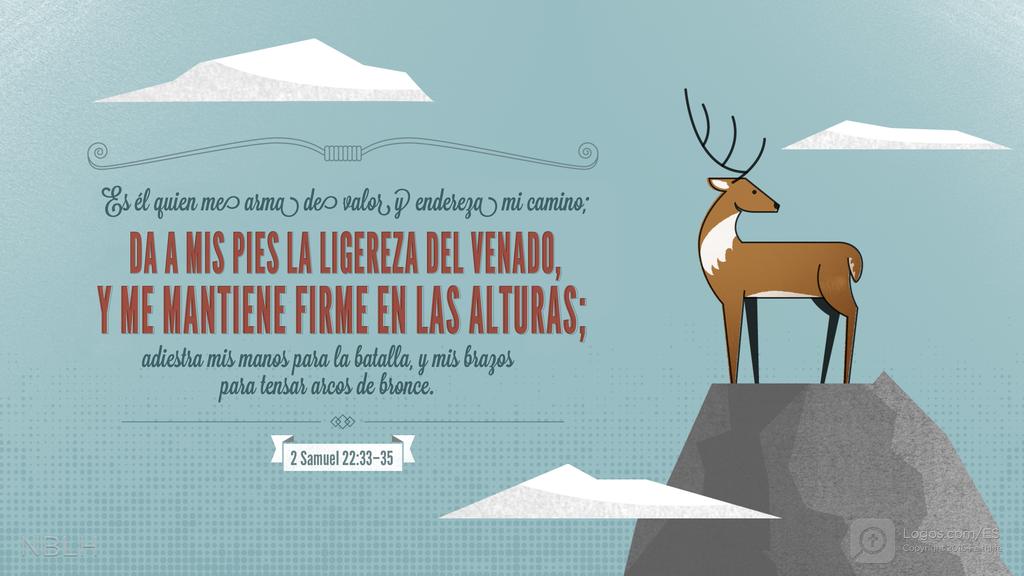 2º Samuel 22:33–35: Es él quien me arma de valor y endereza mi camino; DA A MIS PIES LA LIGEREZA DEL VENADO, Y ME MANTIENE FIRME EN LAS ALTURAS; adiestra mis manos para la batalla, y mis brazos para tensar arcos de bronce.
