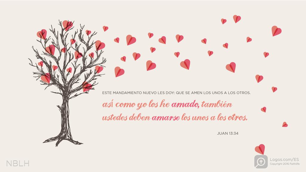 Juan 13:34: ESTE MANDAMIENTO NUEVO LES DOY: QUE SE AMEN LOS UNOS A LOS OTROS. Así como yo los he amado, también ustedes deben amarse los unos a los otros.