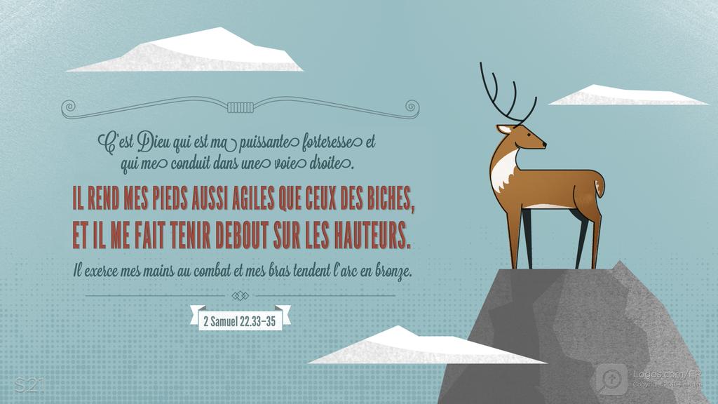2 Samuel 22.33–35: C’est Dieu qui est ma puissante forteresse et qui me conduit dans une voie droite. IL REND MES PIEDS AUSSI AGILES QUE CEUX DES BICHES, ET IL ME FAIT TENIR DEBOUT SUR LES HAUTEURS. Il exerce mes mains au combat et mes bras tendent l’arc en bronze.