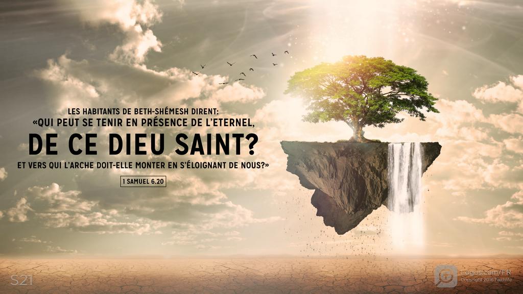 1 Samuel 6.20: LES HABITANTS DE BETH-SHÉMESH DIRENT: «QUI PEUT SE TENIR EN PRÉSENCE DE L’ETERNEL, DE CE DIEU SAINT? ET VERS QUI L’ARCHE DOIT-ELLE MONTER EN S’ÉLOIGNANT DE NOUS?»