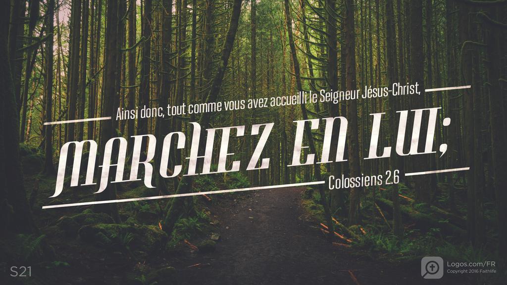Colossiens 2.6: Ainsi donc, tout comme vous avez accueilli le Seigneur Jésus-Christ, MARCHEZ EN LUI;