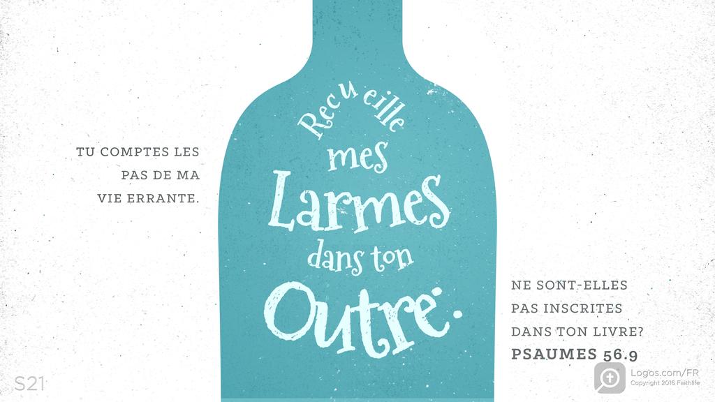 Psaumes 56.8: TU COMPTES LES PAS DE MA VIE ERRANTE. Recueille mes larmes dans ton outre: NE SONT-ELLES PAS INSCRITES DANS TON LIVRE?
