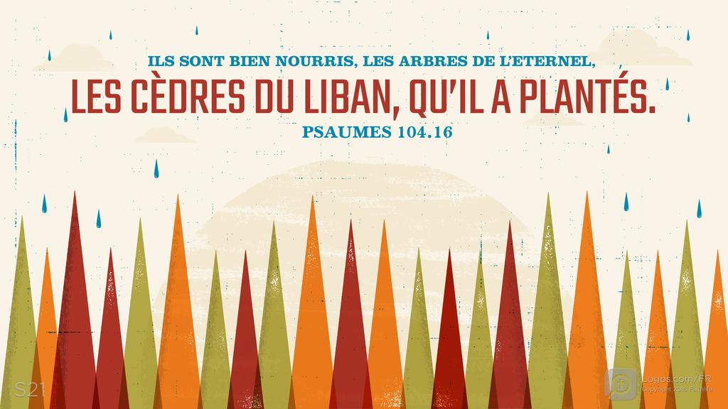 Psaumes 104.16: ILS SONT BIEN NOURRIS, LES ARBRES DE L’ETERNEL, LES CÈDRES DU LIBAN, QU’IL A PLANTÉS.