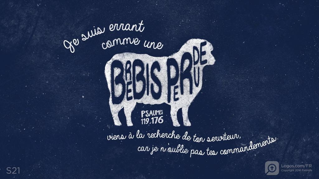 Psaumes 119.176: Je suis errant comme une BREBIS PERDUE viens à la recherche de ton serviteur, car je n’oublie pas tes commandements.