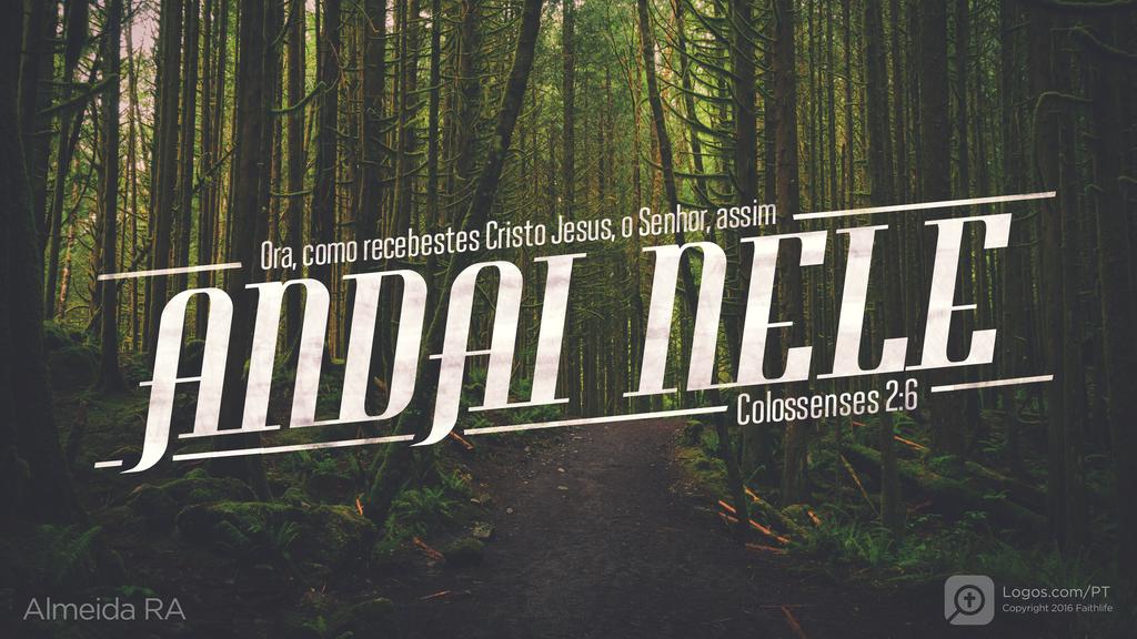 Colossenses 2.6: Ora, como recebestes Cristo Jesus, o Senhor, assim ANDAI NELE