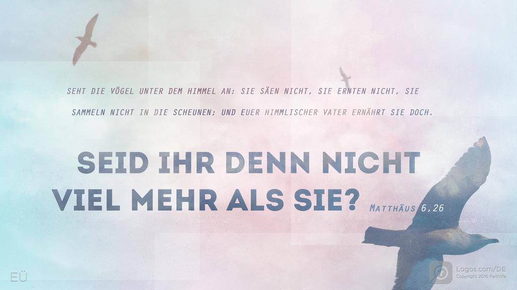 Matthäus 6,26: SEHT DIE VÖGEL UNTER DEM HIMMEL AN: SIE SÄEN NICHT, SIE ERNTEN NICHT, SIE SAMMELN NICHT IN DIE SCHEUNEN; UND EUER HIMMLISCHER VATER ERNÄHRT SIE DOCH. SEID IHR DENN NICHT VIEL MEHR ALS SIE?