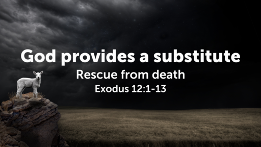God provides a substitute: rescue from death