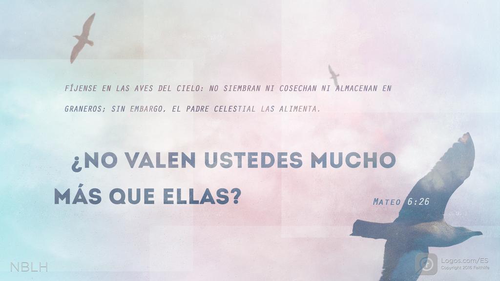 Mateo 6:26: Fíjense en las aves del cielo: no siembran ni cosechan ni almacenan en graneros; sin embargo, el Padre celestial las alimenta. ¿No valen ustedes mucho más que ellas?